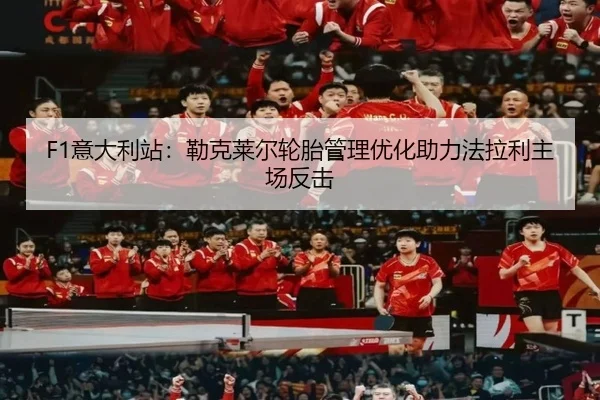 yi-da-li-zhan-lei-ke-lai-er-lun-tai-guan-li-you-hua-zhu-li-fa-la-li-zhu-chang-fan-ji-2-953.jpg