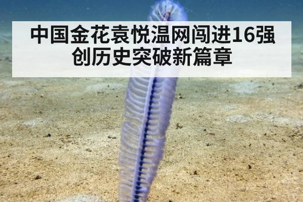 中国金花袁悦温网闯进16强创历史突破新篇章