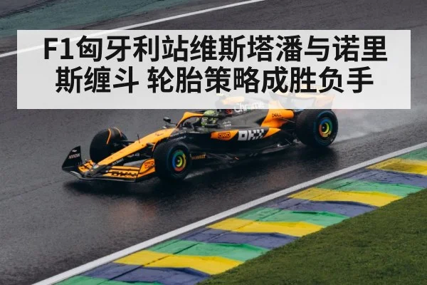 F1匈牙利站维斯塔潘与诺里斯缠斗 轮胎策略成胜负手